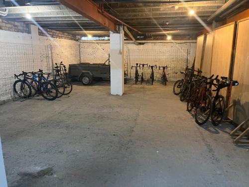 Jízda na kole v ubytování Hotel Juan Canejan nebo okolí