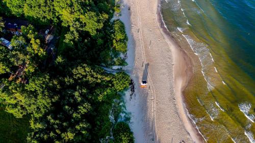 科沃布热格Baltic Forest的享有树木繁茂的海滩和大海的上方景色