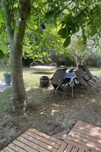 Studio île de la Barthelasse- Avignon