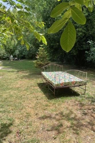 Studio île de la Barthelasse- Avignon