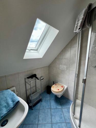 a bathroom with a shower and a toilet and a skylight at Vogtadeshof in Wolfach
