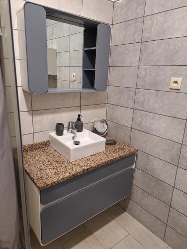 a bathroom with a sink and a mirror at Le petit plaisir des caves in Dormans