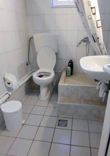 a bathroom with a toilet and a sink at Ευρυχωρο ισόγειο διαμέρισμα in Moláoi