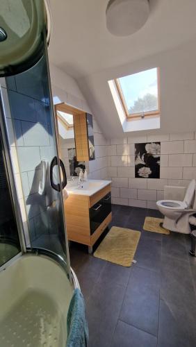 a bathroom with a shower and a sink and a toilet at Casa Maya in Săsciori