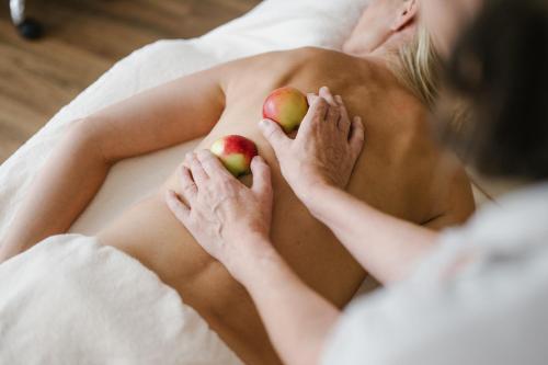 Clientes alojados en Hotel Wiesenhof