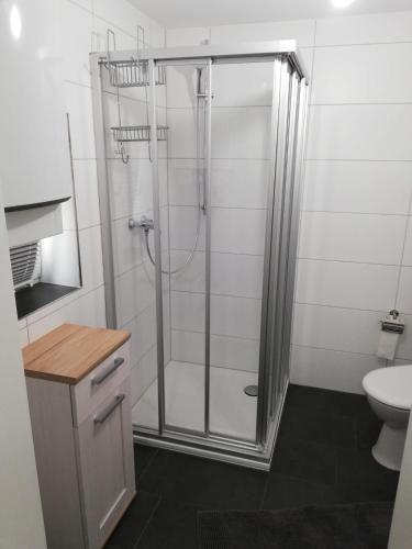 a bathroom with a shower with a sink and a toilet at Ferienwohnung am Halbmond in Badbergen