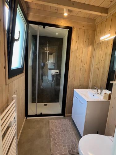 a bathroom with a shower and a toilet and a sink at Gîte avec son SPA privatif in Le Nouvion-en-Thiérache