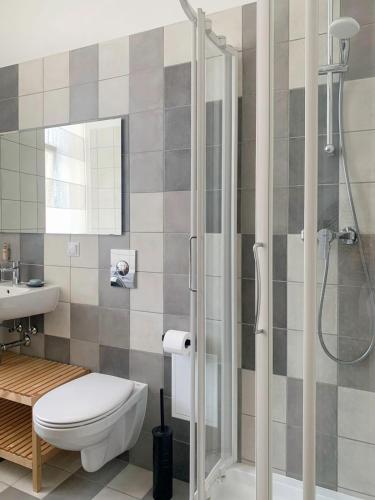a bathroom with a shower with a toilet and a sink at Residential Barona Apartments in Riga Centre in Rīga