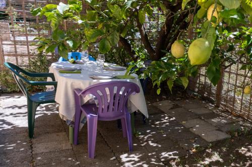 Zahrada ubytování Il Giardino a Boccadasse