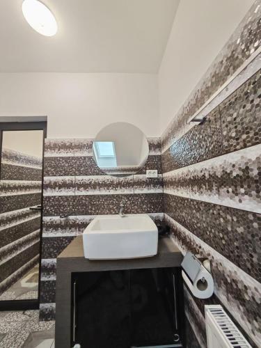 a bathroom with a sink and a mirror at Vila Bella Tarlungeni in Tărlungeni