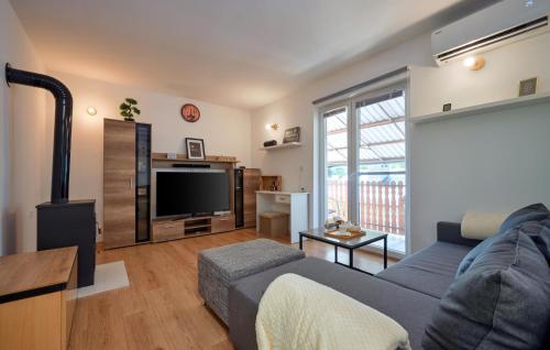 Μια τηλεόραση ή/και κέντρο ψυχαγωγίας στο Cozy Home In Curlovac