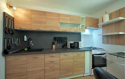 Η κουζίνα ή μικρή κουζίνα στο Cozy Home In Curlovac