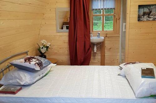 a bedroom with a bed and a sink in a room at Glamping Pod in St Austell Sleeps 2 with Spa Pool in Lanivet