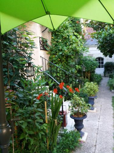 a garden with a green umbrella and some plants at Chambres D'hôtes Au Gré Du Temps in Saint-Aignan