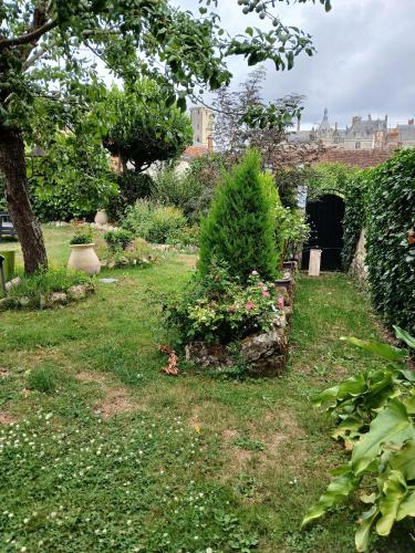 a garden with a christmas tree and some bushes at Chambres D'hôtes Au Gré Du Temps in Saint-Aignan