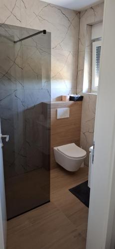 a bathroom with a toilet and a glass shower at MB House in Galovac