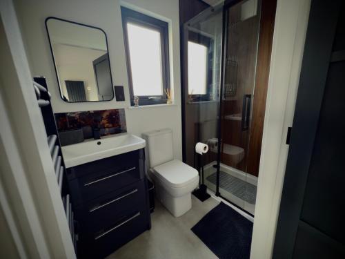 a bathroom with a toilet and a sink and a shower at Hamish's Hideaway in Eaglesfield