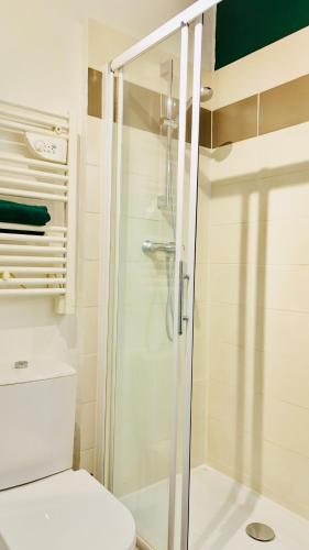 a bathroom with a shower and a toilet at Juni - Climatisé & Balconnet in Brignoles