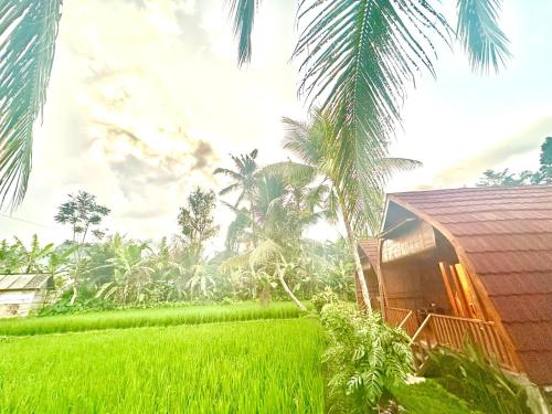 Taman di luar Bien dormir house