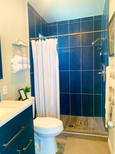 a blue bathroom with a toilet and a shower at Casita Don Nacho in Ciudad Juárez