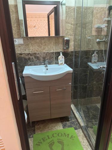 a bathroom with a sink and a shower at Casa Morarului in Bîrsana