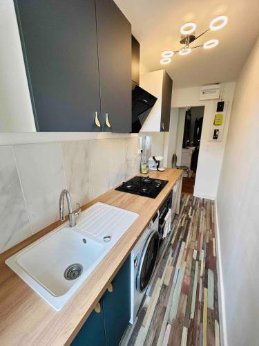 une cuisine avec un évier et une machine à laver dans l'établissement Le Charmant Jaurès - Centre-ville, à Reims