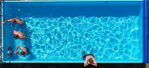 two men swimming in a swimming pool at Olivina Park Spa - domki z dostępem do krytego basenu, saun, wyżywienia i atrakcji dla dzieci in Niechorze