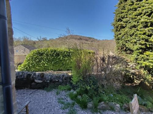 a garden with a large hedge and plants at Whimsy by the Peaks, private parking, fenced garden, good walks, pub in Tansley