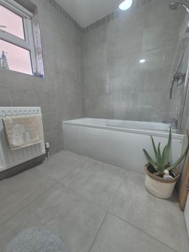 a bathroom with a tub and a potted plant at Bobbi's Bothy in Newcastle