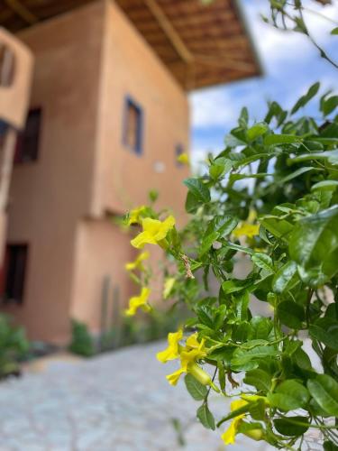 Κήπος έξω από το Casa Valhalla Choroni
