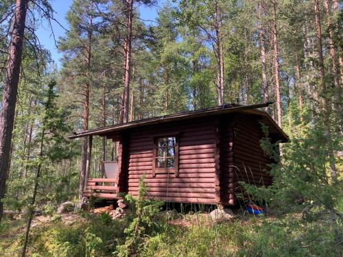 een kleine blokhut midden in een bos bij Metsäsydän mökki 3 Vinksinvonksin 