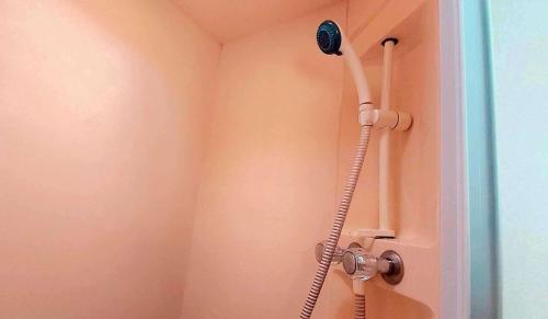 a shower with a blow dryer in a bathroom at 5Berth -Family Friendly -ParkingSpot -Heated Pool in St Austell