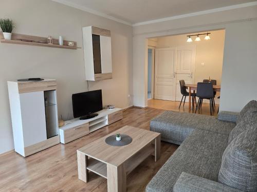 TV a/nebo společenská místnost v ubytování Chill Apartman
