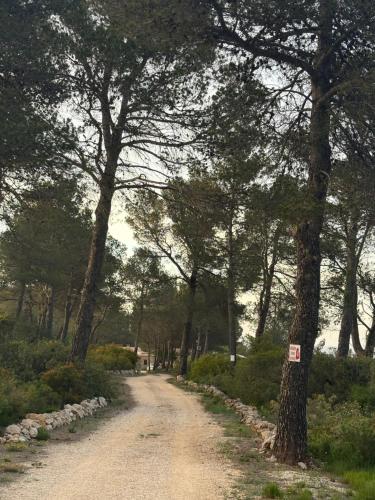 Příroda nedaleko chaty