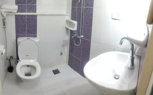 a bathroom with a toilet and a sink at Tarbouche House Dahab in Dahab