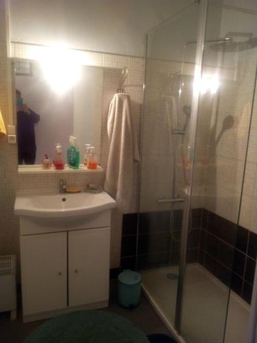 Ένα μπάνιο στο Appartement Le Vigan