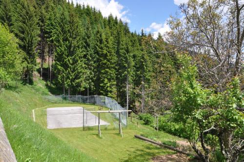 a net in the middle of a field with trees at Almen-Kräuter-Oberreiter in Dellach im Drautal
