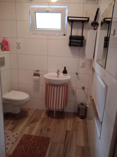 Bilik mandi di Całoroczny Apartament u Grzegorza
