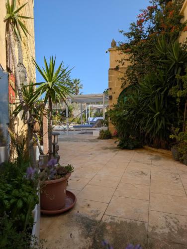 a patio with a bunch of plants and flowers at Tal Jordan Complex in Għarb