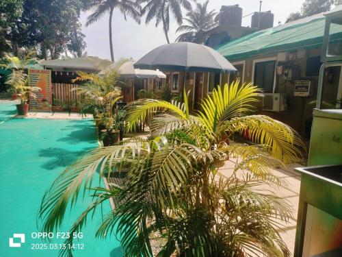 科尔瓦Ave Maria Guest House & Restaurant and Bar的棕榈树,游泳池旁有遮阳伞