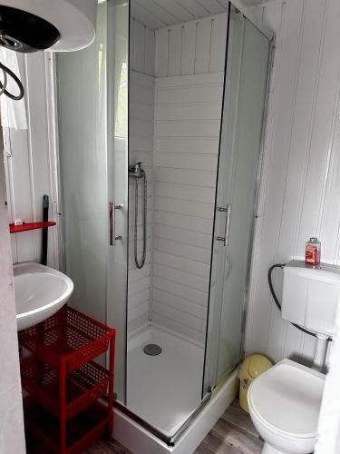 a bathroom with a shower and a toilet and a sink at Domki Alkana - domek 4 in Nowęcin