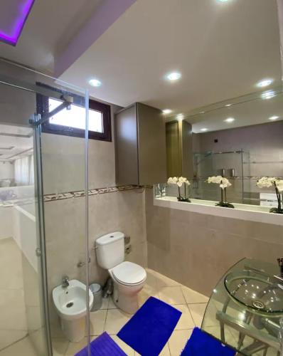 a bathroom with a toilet and a sink and a mirror at Tanger Achakar in Tangier