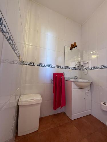 a bathroom with a toilet and a sink and a mirror at Nature in Tejeda in Tejeda