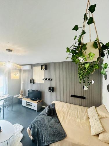 Cosy - Studio Plage & Soleil
