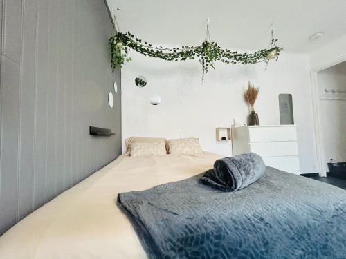Cosy - Studio Plage & Soleil