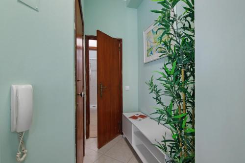 ファロにあるFaro Downtown Suites - Vila Adentroのドアの横に植物が置かれたバスルーム