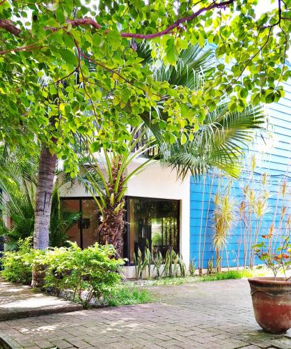 a building with trees and plants in front of it at Casa Milo in Managua