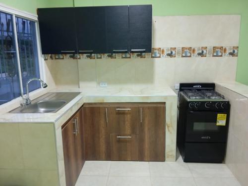 Dapur atau dapur kecil di Apartamentos el farol