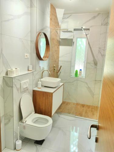 a bathroom with a toilet and a sink and a mirror at Luxury apartment Podgorica in Podgorica
