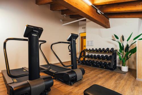 a gym with two treadmills and exercise bikes at Euro Hotel in Imola